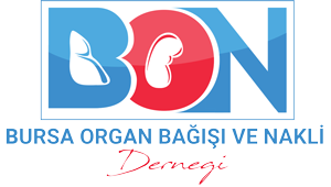 bursa_organ_nakli